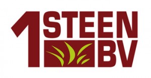 1steen BV